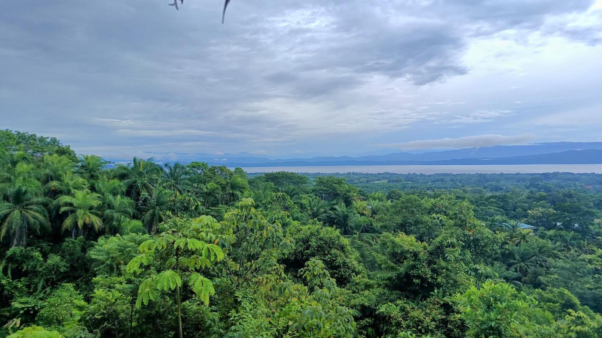 Corcovado Private Villas - Corcovado Private Reserve Puerto Jimenez Ngoại thất bức ảnh