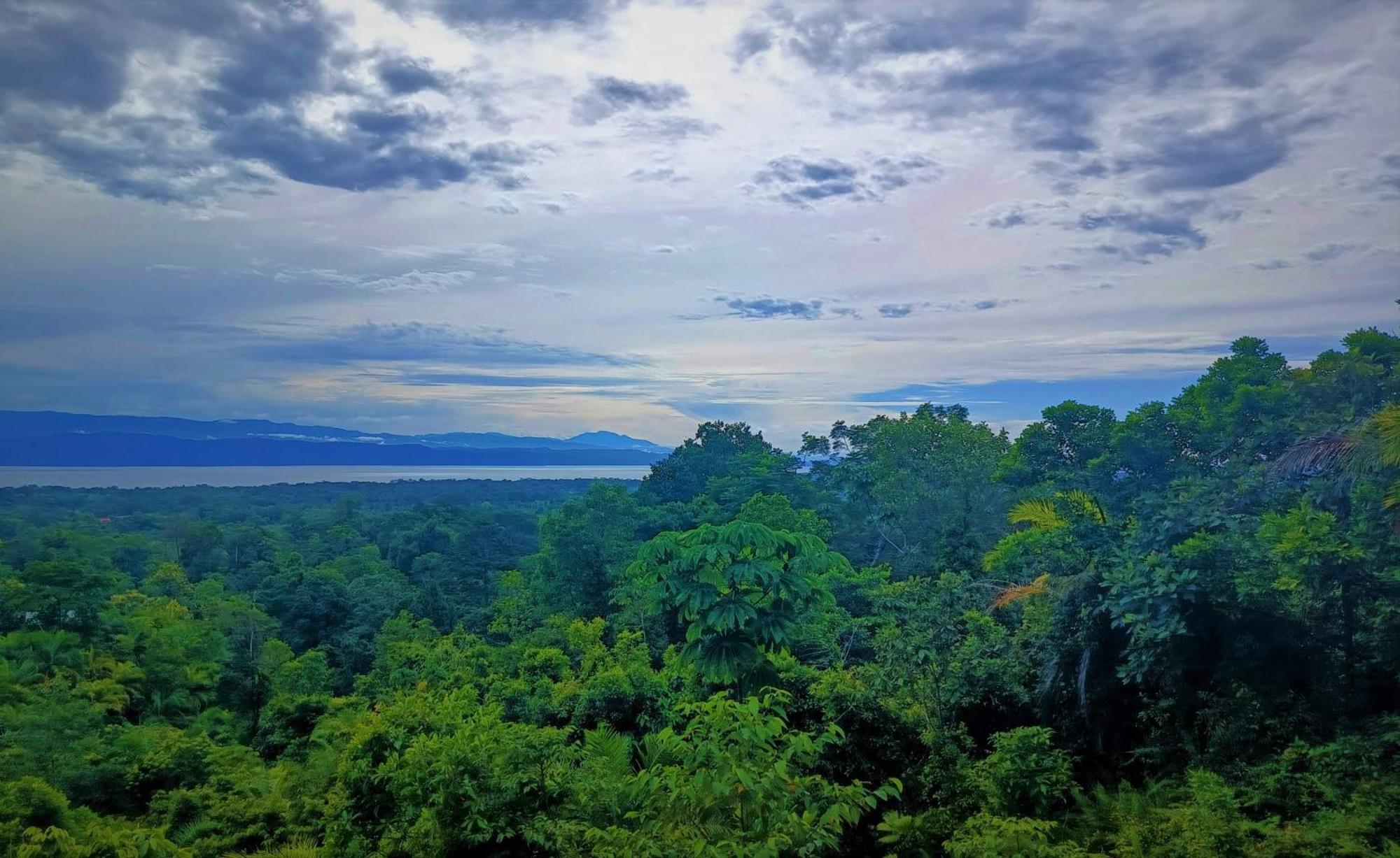 Corcovado Private Villas - Corcovado Private Reserve Puerto Jimenez Ngoại thất bức ảnh