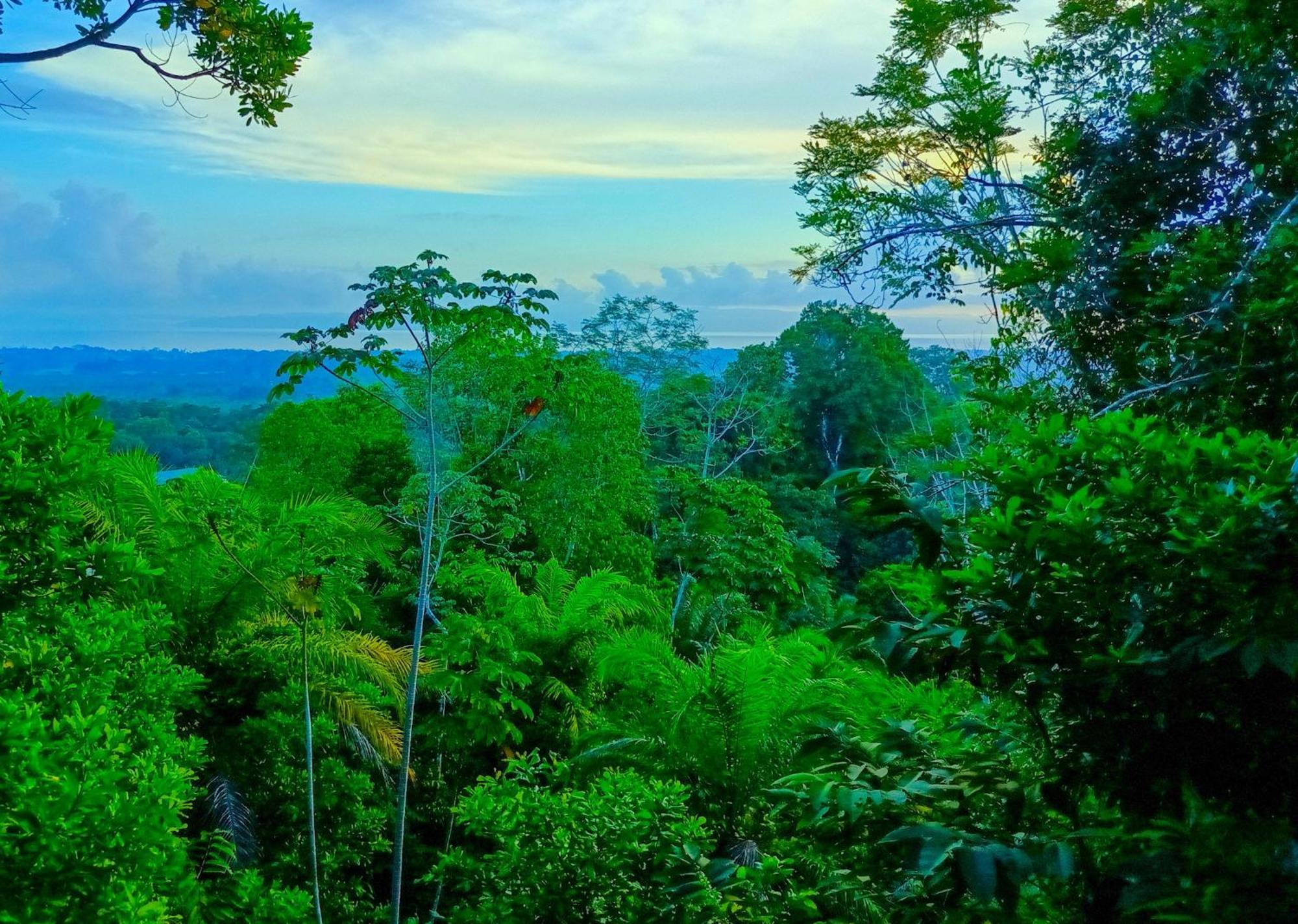 Corcovado Private Villas - Corcovado Private Reserve Puerto Jimenez Ngoại thất bức ảnh