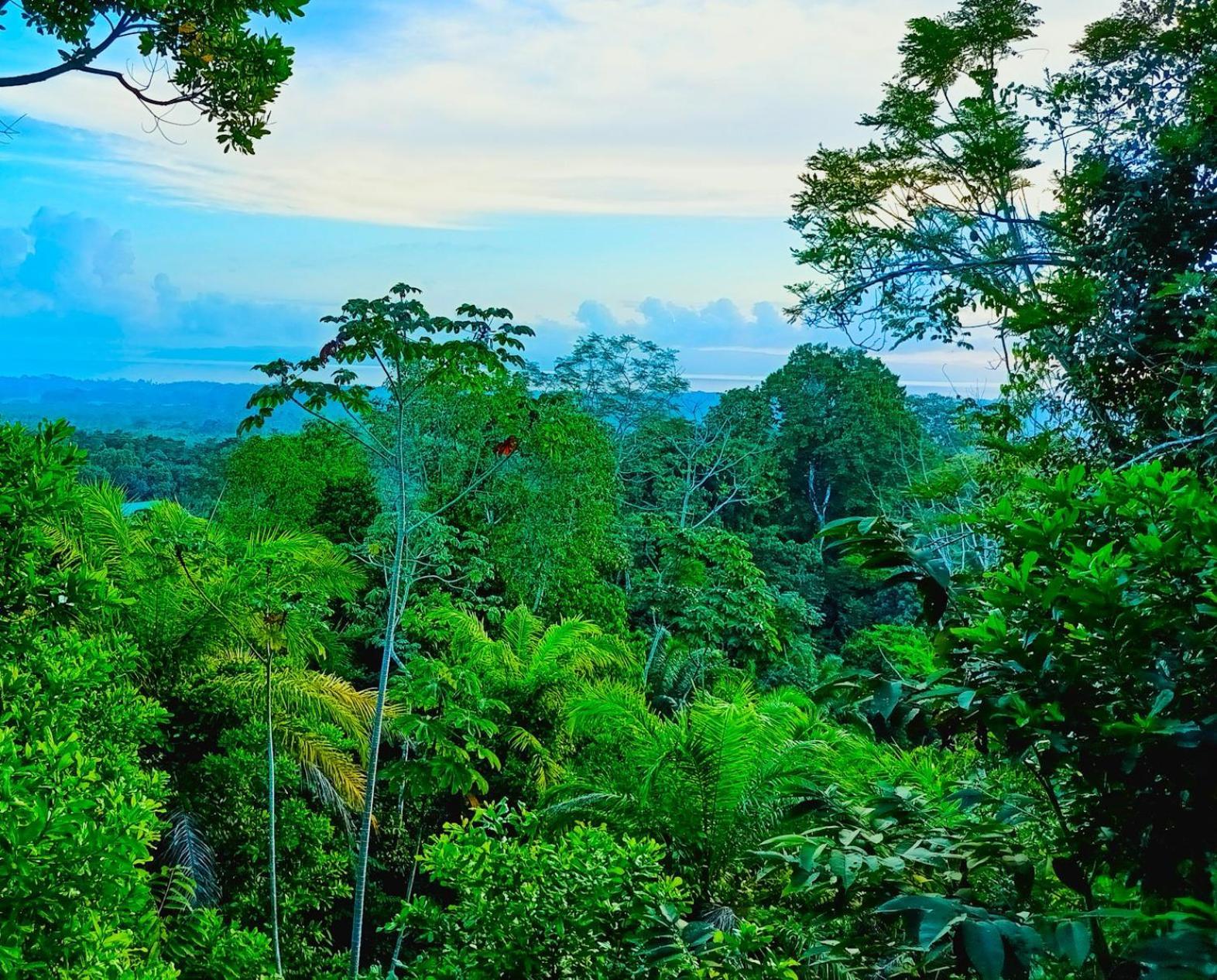 Corcovado Private Villas - Corcovado Private Reserve Puerto Jimenez Ngoại thất bức ảnh