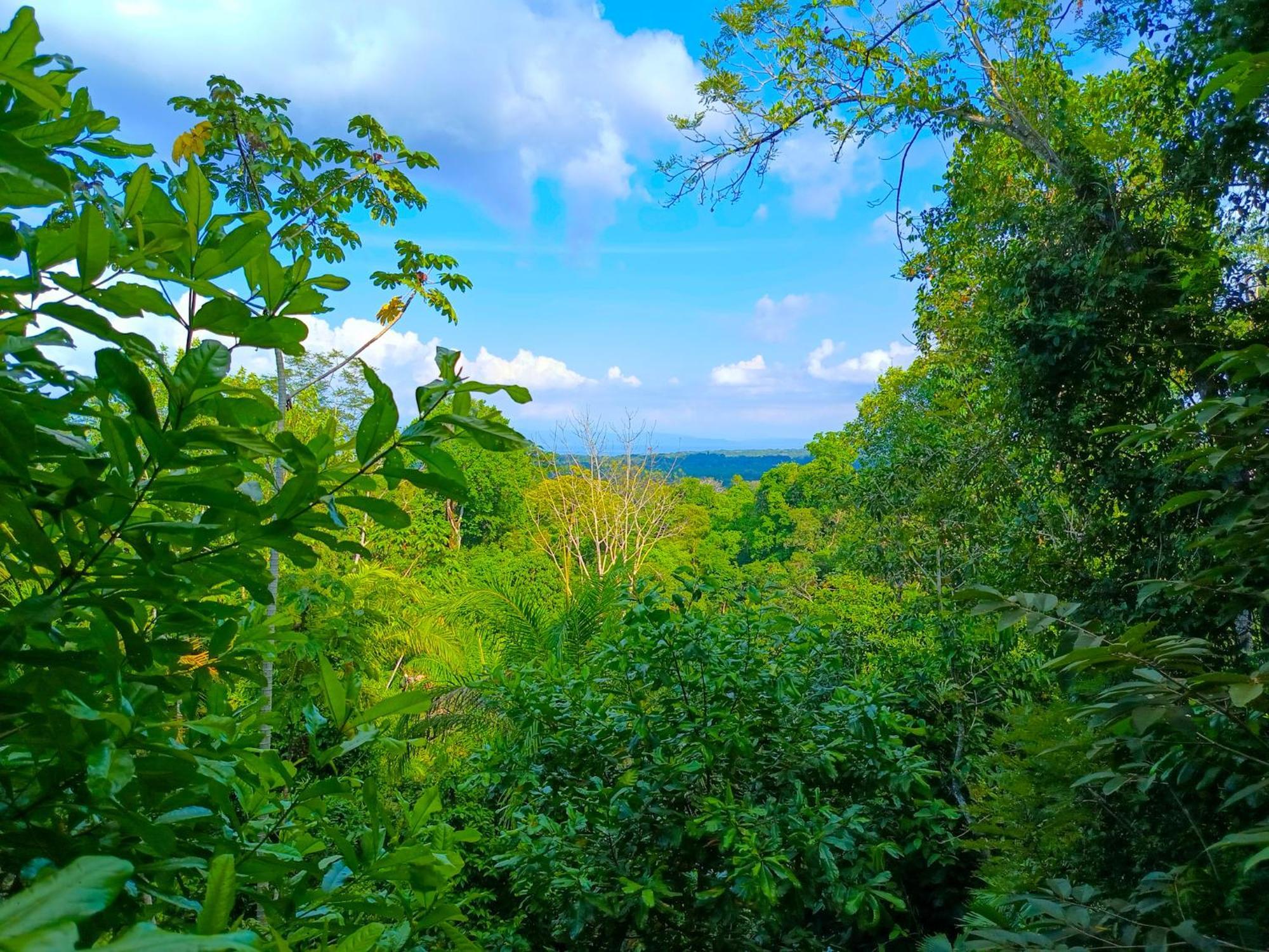 Corcovado Private Villas - Corcovado Private Reserve Puerto Jimenez Ngoại thất bức ảnh