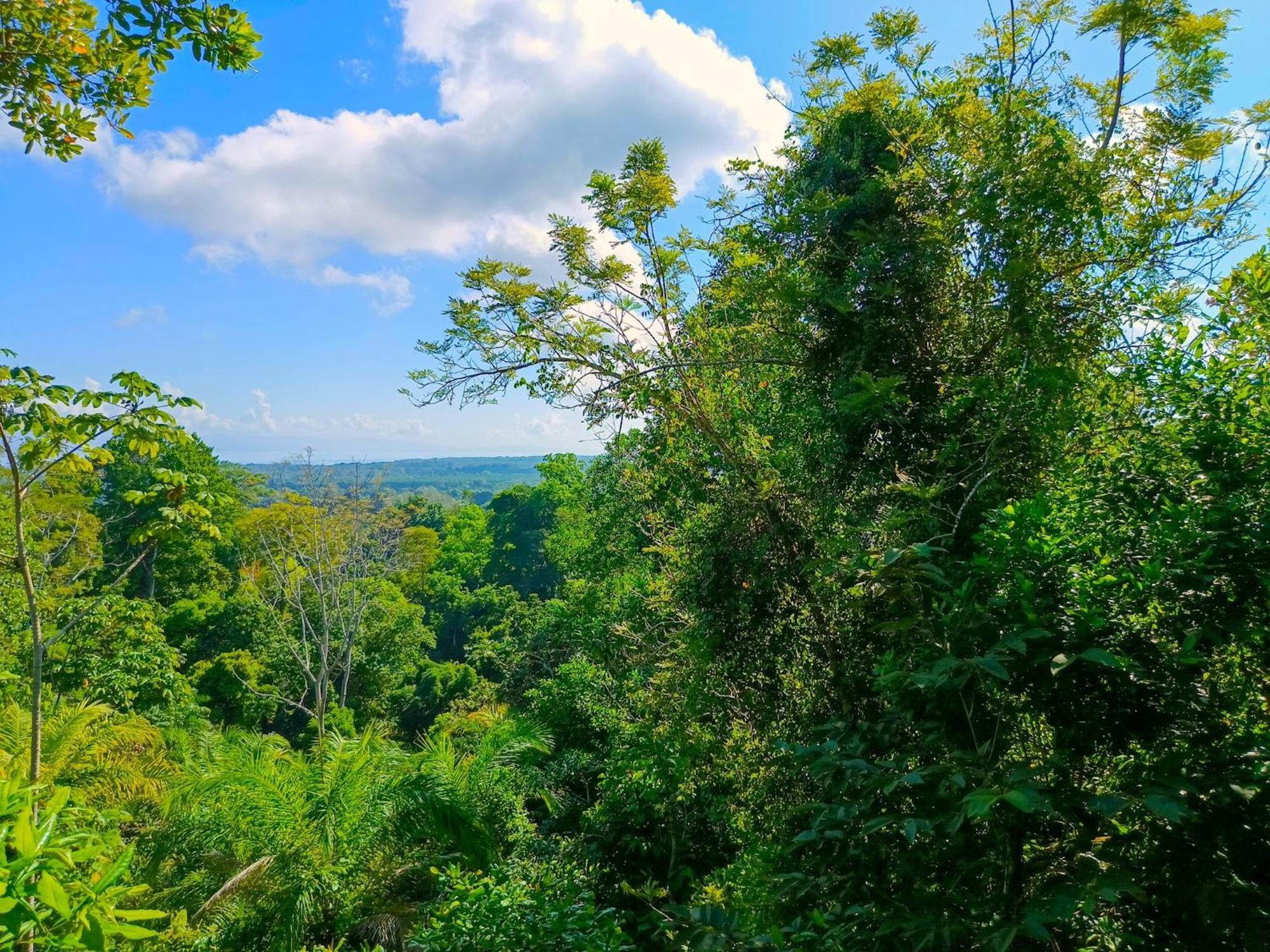Corcovado Private Villas - Corcovado Private Reserve Puerto Jimenez Ngoại thất bức ảnh