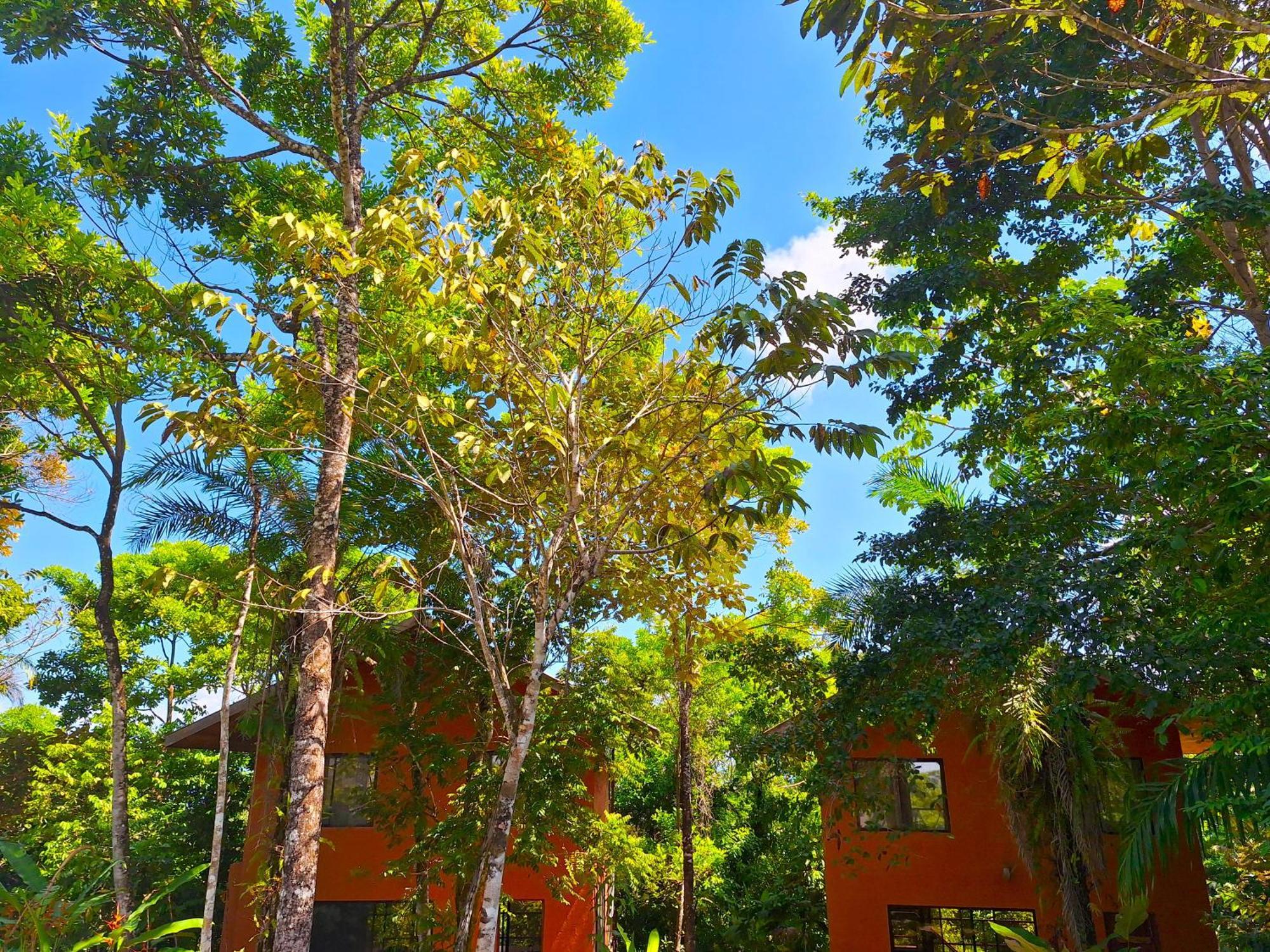 Corcovado Private Villas - Corcovado Private Reserve Puerto Jimenez Ngoại thất bức ảnh