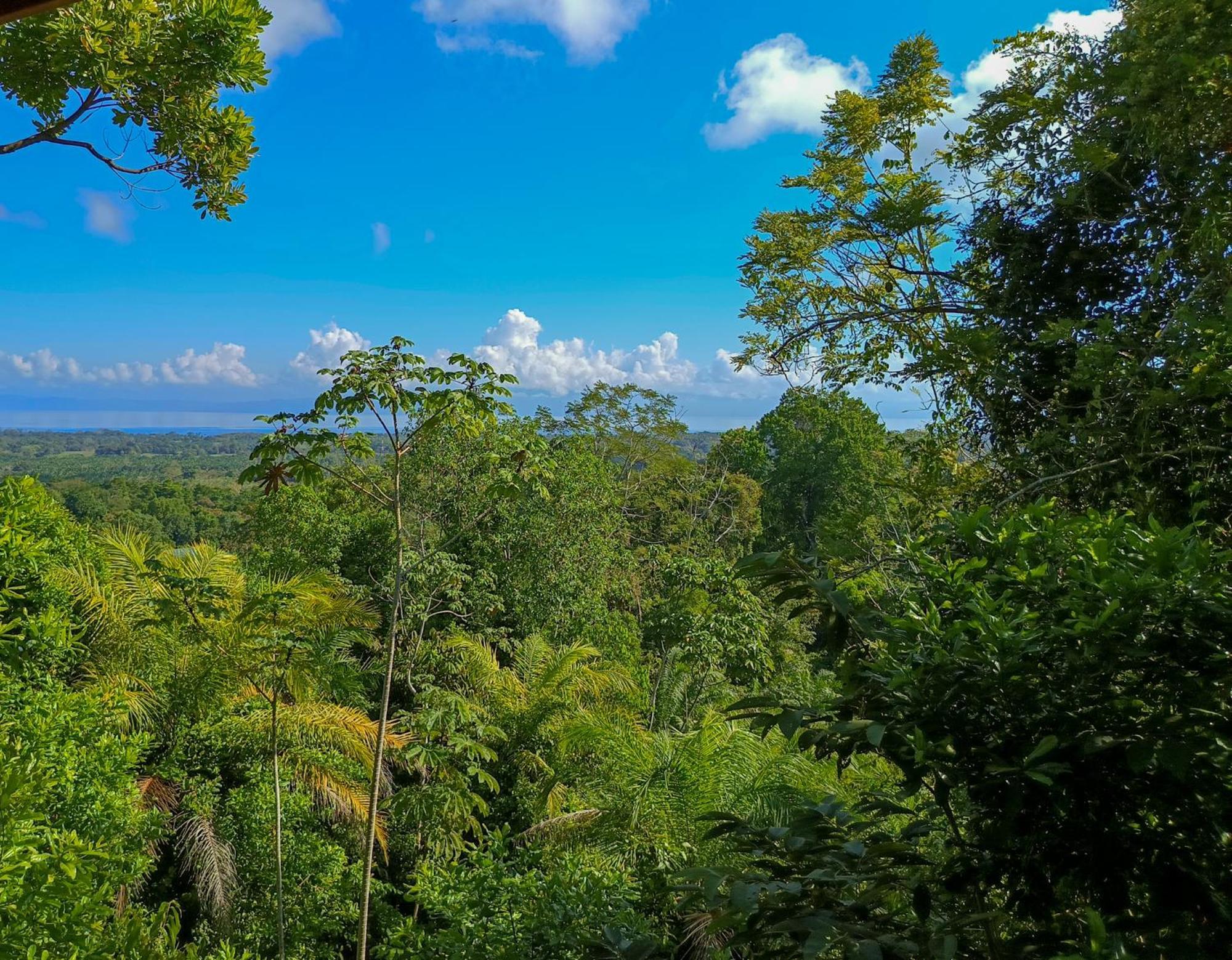 Corcovado Private Villas - Corcovado Private Reserve Puerto Jimenez Ngoại thất bức ảnh