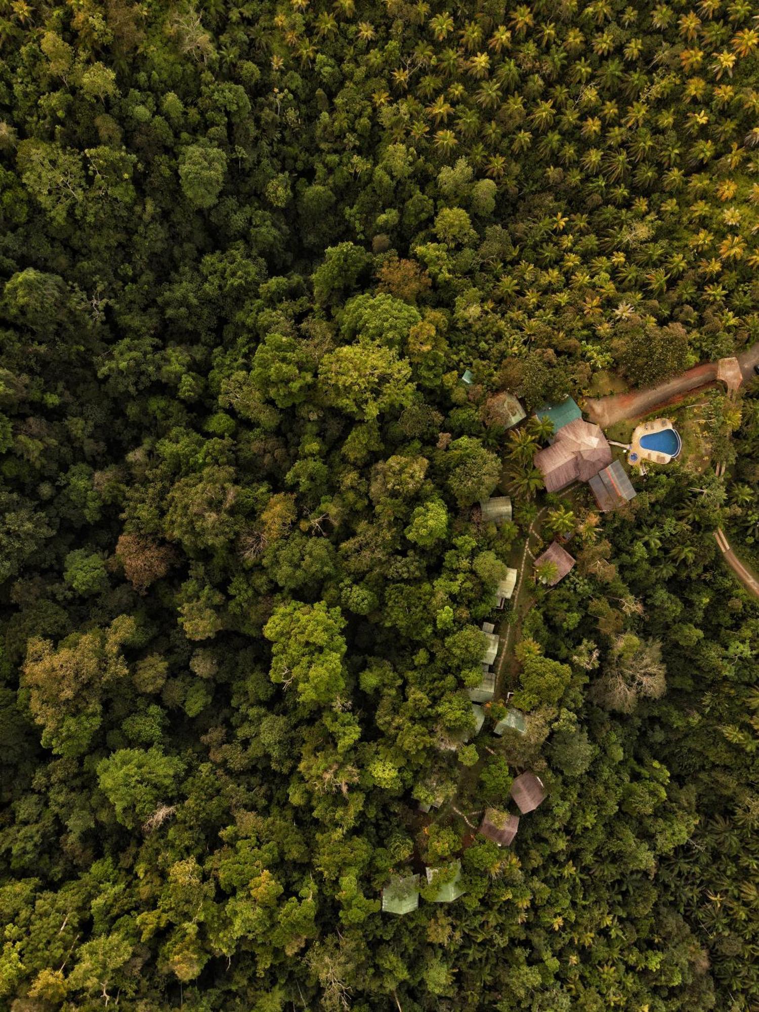 Corcovado Private Villas - Corcovado Private Reserve Puerto Jimenez Ngoại thất bức ảnh