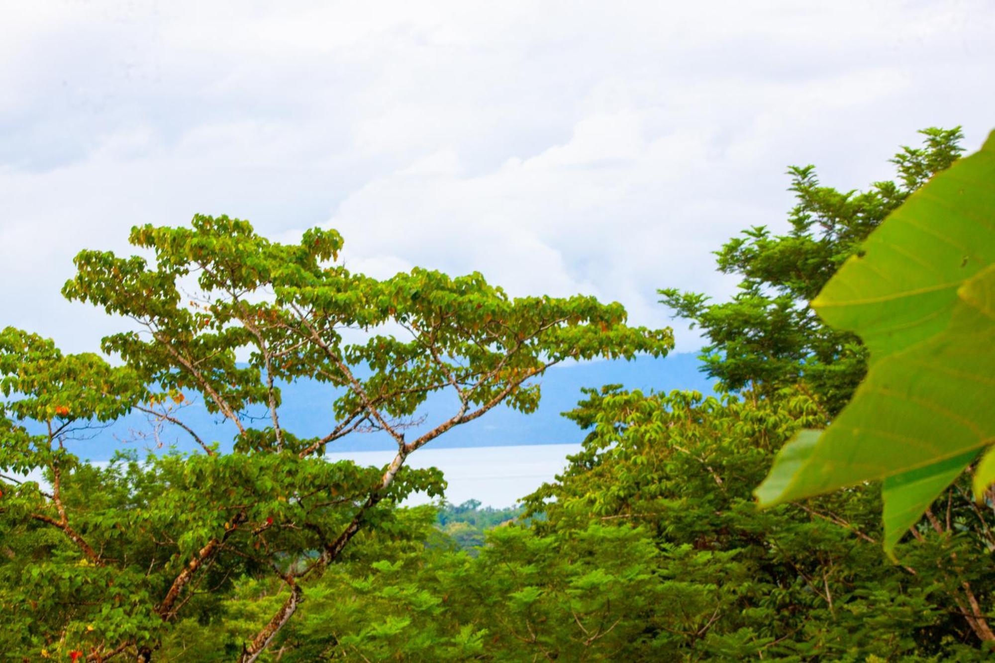 Corcovado Private Villas - Corcovado Private Reserve Puerto Jimenez Ngoại thất bức ảnh